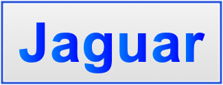 Image of the name Jaguar Image of the name Jaguar