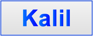 Image of the name Kalil