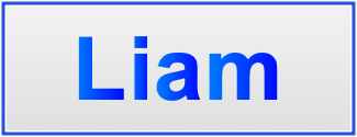 Image of the name Liam Image of the name Liam