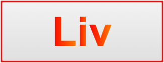 Image of the name Liv Image of the name Liv