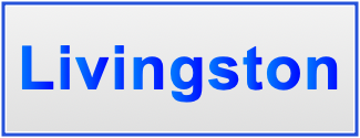 Image of the name Livingston