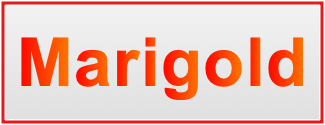 Image of the name Marigold