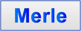 Image of the name Merle