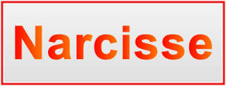 Image of the name Narcisse