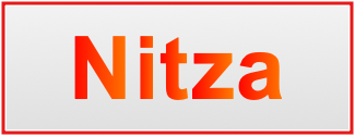 Image of the name Nitza