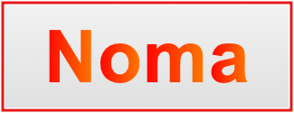 Image of the name Noma