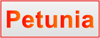 Image of the name Petunia Image of the name Petunia