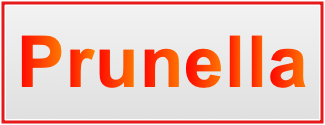 Image of the name Prunella Image of the name Prunella