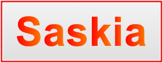 Image of the name Saskia