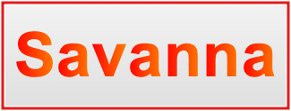 Image of the name Savanna