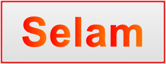 Image of the name Selam