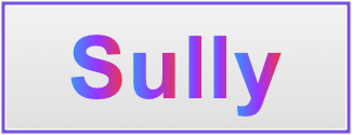 Image of the name Sully
