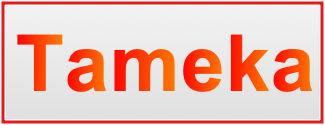 Image of the name Tameka