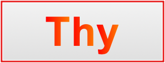 Image of the name Thy