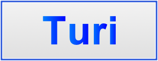 Image of the name Turi