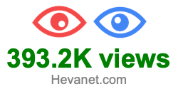 393.2K views